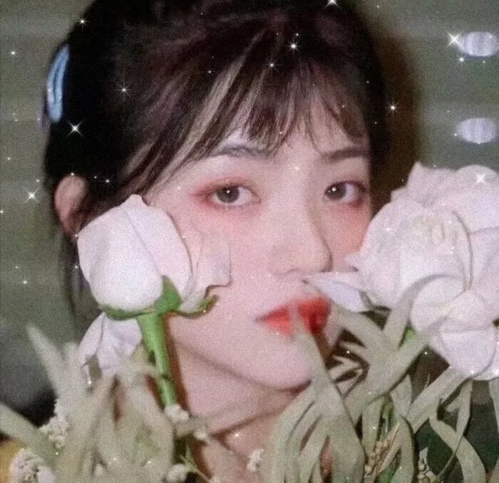 向夜屈服