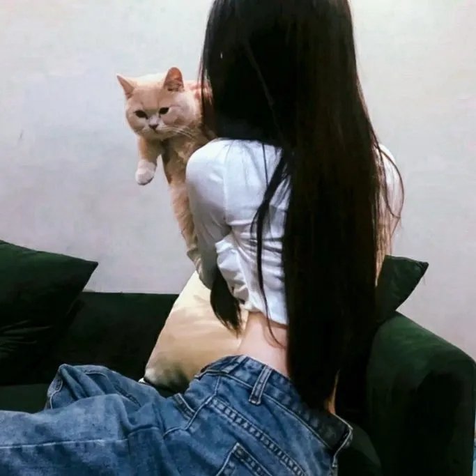 手